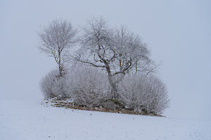 Mühlviertel