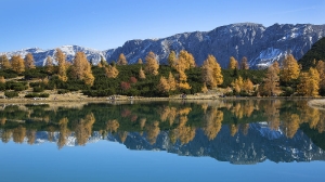 Herbstspiegelung