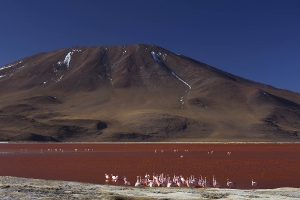 Laguna Colorada_2