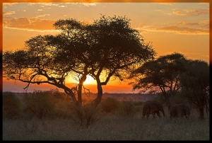 Sunset_1