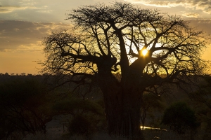 Sunset_2