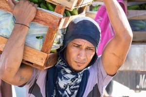 Schiff wird ausgeladen