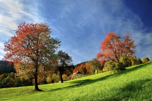 Leuchtender Herbst