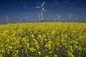 Ökoenergie
