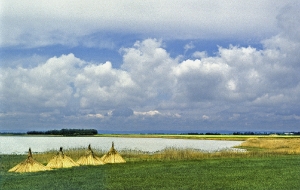 Seewinkl