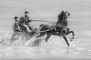 Wassergalopp