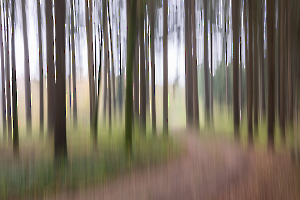 _18