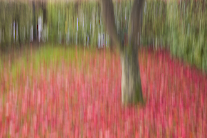 _19