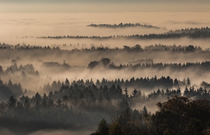 Klam im Nebel_1