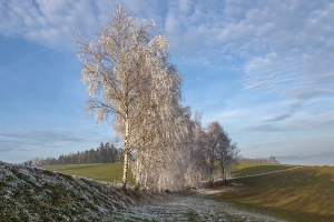 Landschaft