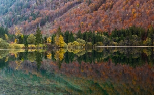 Langbathsee_2