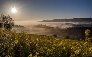 Nebel_1