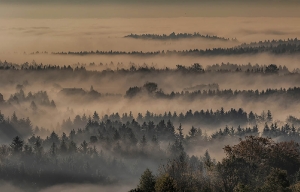 Nebel_2