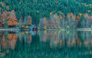 Offensee_1