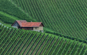 Südsteiermark_1