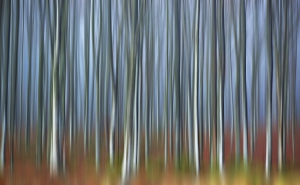 Nature_16