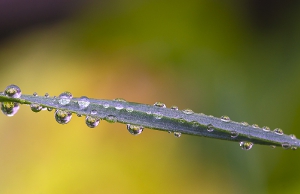 Nature_21