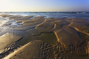 Nature_27