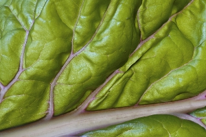 Nature_33