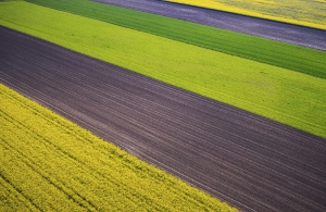 Nature_35