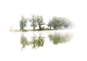 Nature_37