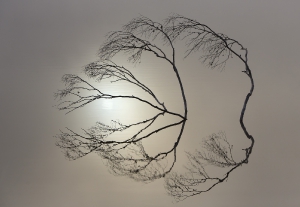 Nature_38
