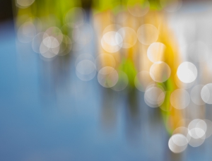 Nature_8