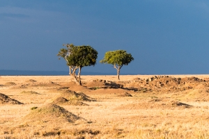 Afrika_3