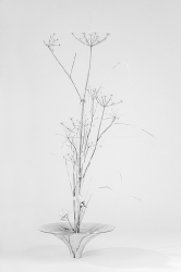Ikebana