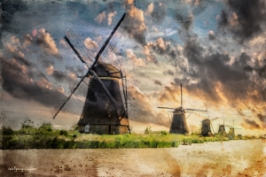 9_goldener Morgen